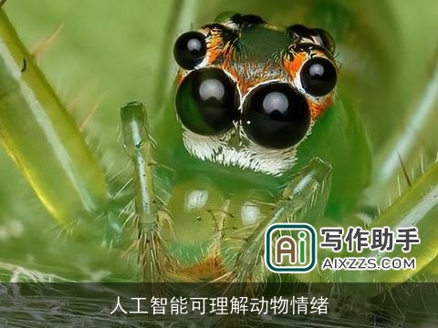 人工智能可理解动物情绪 人工智能可理解动物情绪