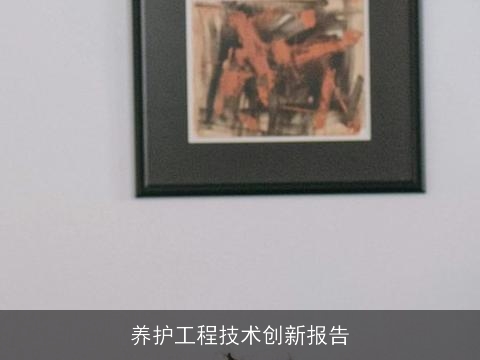 养护工程技术创新报告 养护工程技术创新报告