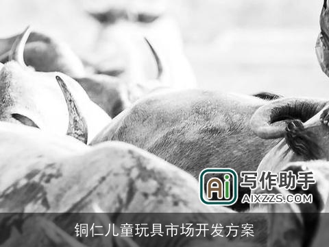 铜仁儿童玩具市场开发方案 铜仁儿童玩具市场开发方案