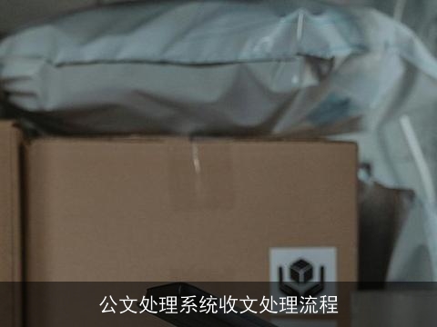 公文处理系统收文处理流程 公文处理系统收文处理流程