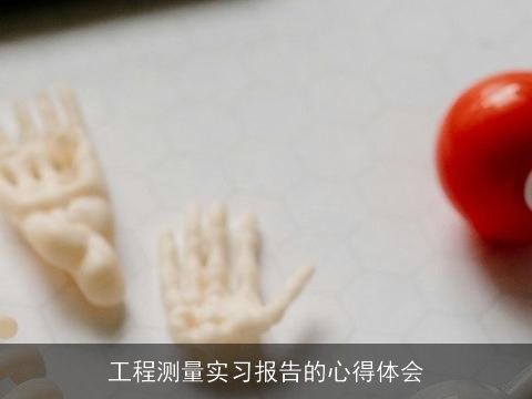 工程测量实习报告的心得体会 工程测量实习报告的心得体会