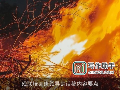 残联培训班领导讲话稿内容要点 残联培训班领导讲话稿内容要点