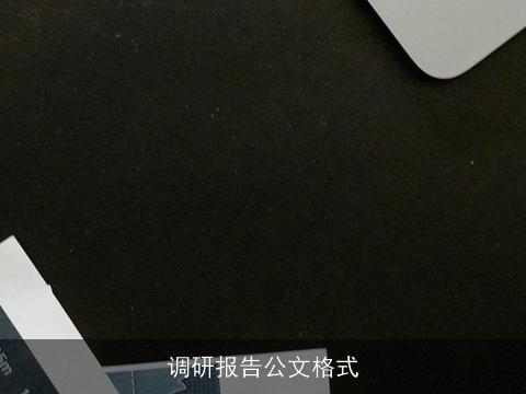 调研报告公文格式 调研报告公文格式