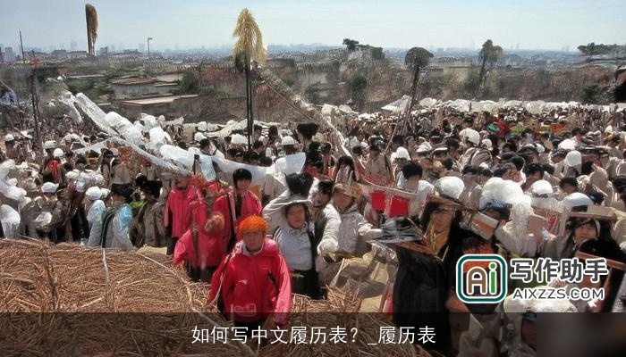 如何写中文履历表?_履历表 如何写中文履历表?_履历表