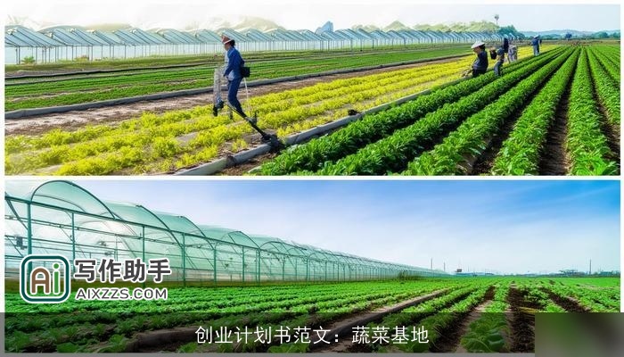 创业计划书范文:蔬菜基地 创业计划书范文:蔬菜基地