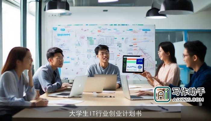 大学生IT行业创业计划书 大学生IT行业创业计划书