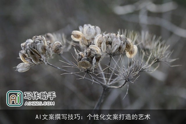 AI文案撰写技巧:个性化文案打造的艺术 AI文案撰写技巧:个性化文案打造的艺术