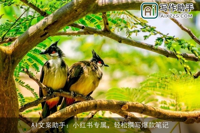 AI文案助手:小红书专属,轻松撰写爆款笔记 AI文案助手:小红书专属,轻松撰写爆款笔记