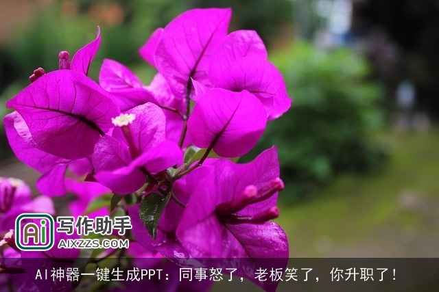 AI神器一键生成PPT:同事怒了,老板笑了,你升职了! AI神器一键生成PPT:同事怒了,老板笑了,你升职了!