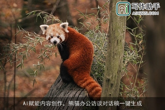 AI赋能内容创作,熊猫办公访谈对话稿一键生成 AI赋能内容创作,熊猫办公访谈对话稿一键生成