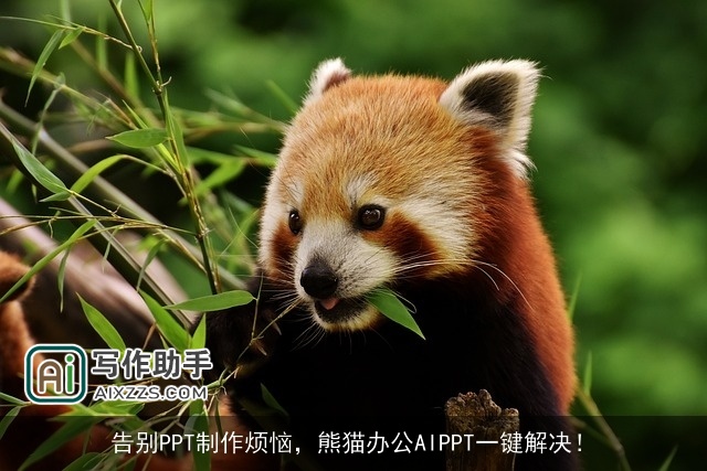 告别PPT制作烦恼,熊猫办公AIPPT一键解决! 告别PPT制作烦恼,熊猫办公AIPPT一键解决!