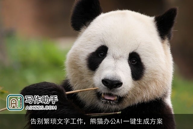 告别繁琐文字工作,熊猫办公AI一键生成方案 告别繁琐文字工作,熊猫办公AI一键生成方案