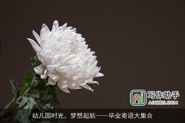 幼儿园时光,梦想起航——毕业寄语大集合 幼儿园时光,梦想起航——毕业寄语大集合