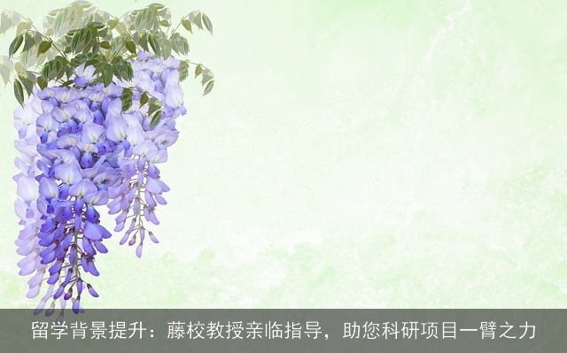留学背景提升:藤校教授亲临指导,助您科研项目一臂之力 留学背景提升:藤校教授亲临指导,助您科研项目一臂之力