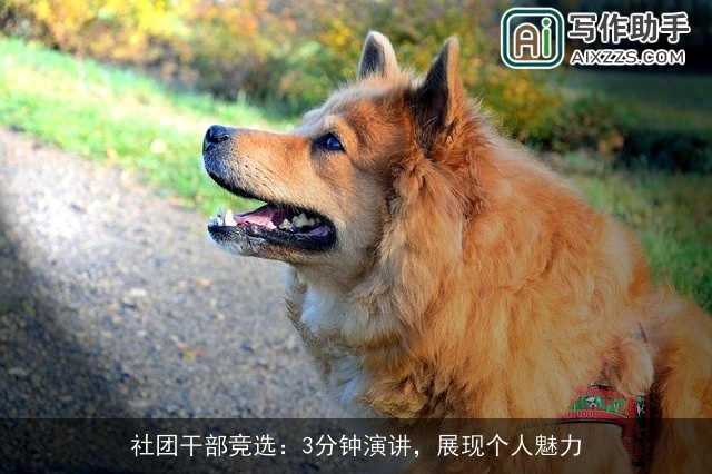 社团干部竞选:3分钟演讲,展现个人魅力 社团干部竞选:3分钟演讲,展现个人魅力