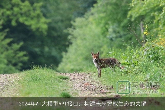 2024年AI大模型API接口:构建未来智能生态的关键 2024年AI大模型API接口:构建未来智能生态的关键