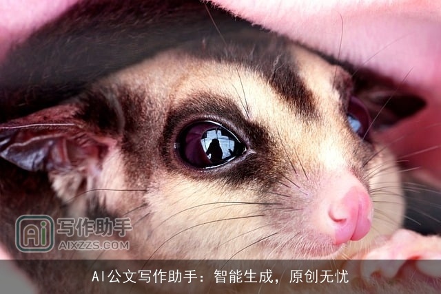 AI公文写作助手:智能生成,原创无忧 AI公文写作助手:智能生成,原创无忧