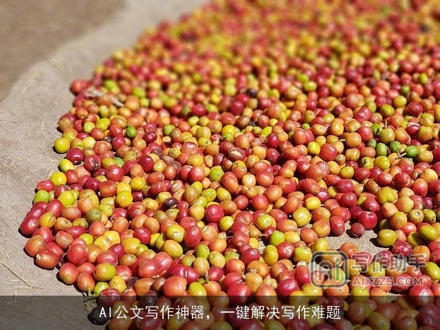 AI公文写作神器,一键解决写作难题 AI公文写作神器,一键解决写作难题