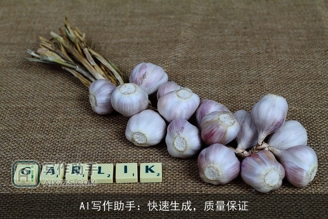 AI写作助手:快速生成,质量保证 AI写作助手:快速生成,质量保证