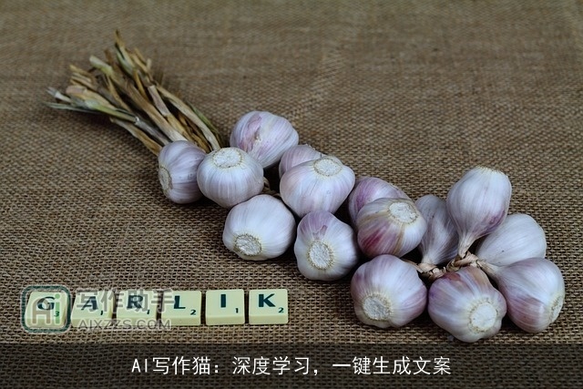 AI写作猫:深度学习,一键生成文案 AI写作猫:深度学习,一键生成文案