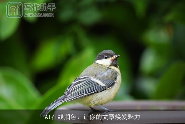 AI在线润色:让你的文章焕发魅力 AI在线润色:让你的文章焕发魅力