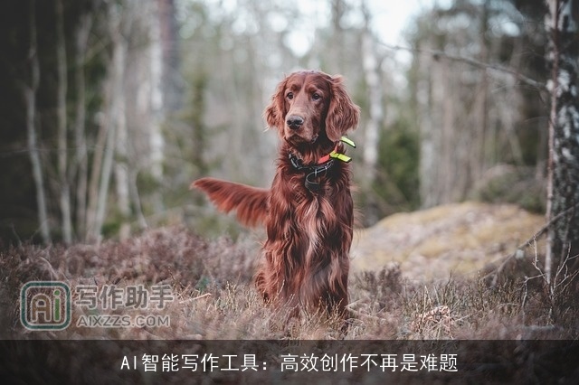 AI智能写作工具:高效创作不再是难题 AI智能写作工具:高效创作不再是难题