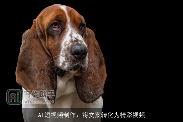 AI短视频制作:将文案转化为精彩视频 AI短视频制作:将文案转化为精彩视频