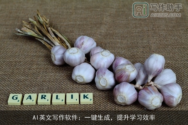 AI英文写作软件:一键生成,提升学习效率 AI英文写作软件:一键生成,提升学习效率