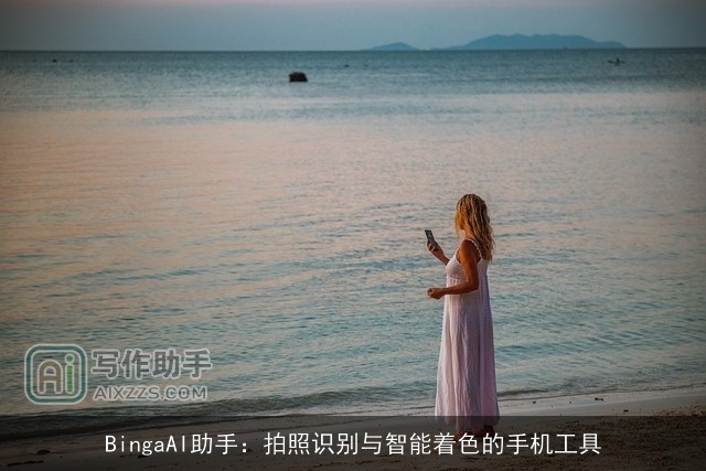 BingaAI助手:拍照识别与智能着色的手机工具 BingaAI助手:拍照识别与智能着色的手机工具