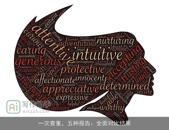 一次查重,五种报告:全面对比结果 一次查重,五种报告:全面对比结果