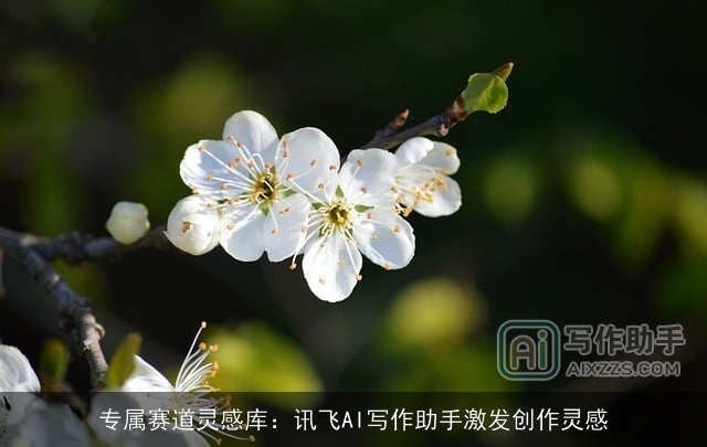 专属赛道灵感库:讯飞AI写作助手激发创作灵感 专属赛道灵感库:讯飞AI写作助手激发创作灵感