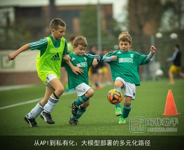 从API到私有化:大模型部署的多元化路径 从API到私有化:大模型部署的多元化路径