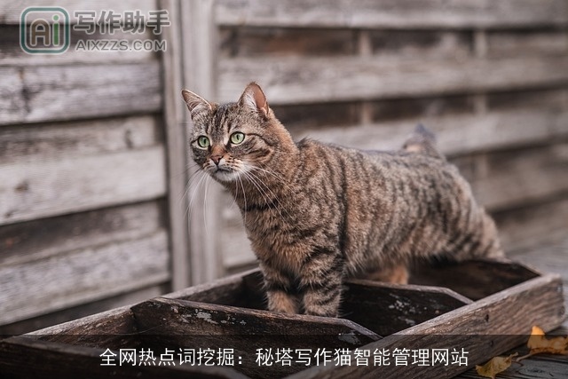 全网热点词挖掘:秘塔写作猫智能管理网站 全网热点词挖掘:秘塔写作猫智能管理网站