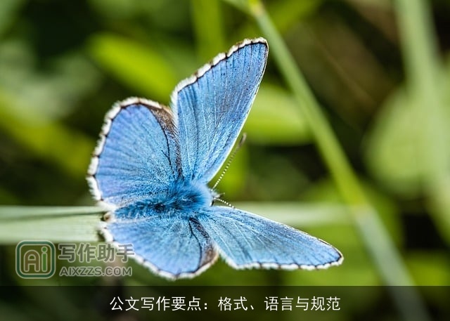 公文写作要点:格式、语言与规范 公文写作要点:格式、语言与规范