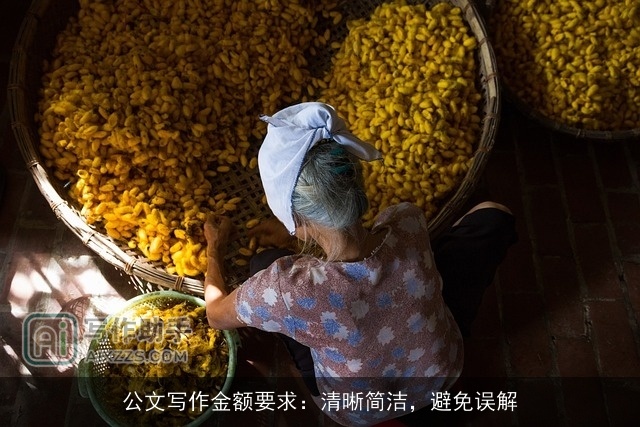 公文写作金额要求:清晰简洁,避免误解 公文写作金额要求:清晰简洁,避免误解