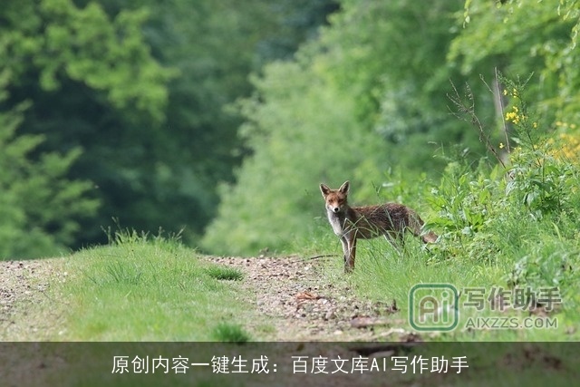 原创内容一键生成:百度文库AI写作助手 原创内容一键生成:百度文库AI写作助手