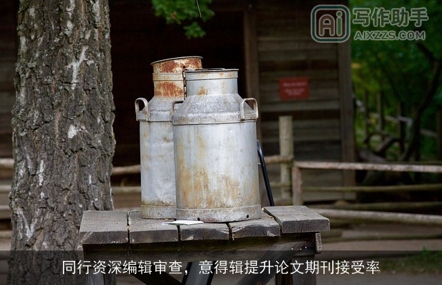 同行资深编辑审查,意得辑提升论文期刊接受率 同行资深编辑审查,意得辑提升论文期刊接受率