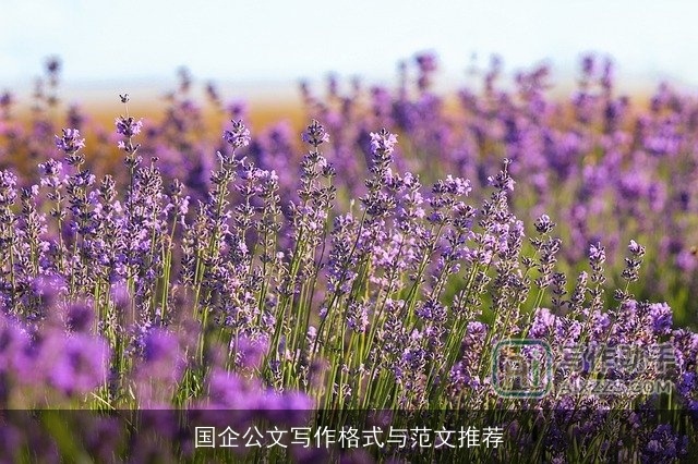 国企公文写作格式与范文推荐 国企公文写作格式与范文推荐