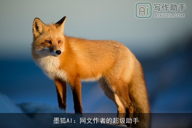 墨狐AI:网文作者的超级助手 墨狐AI:网文作者的超级助手