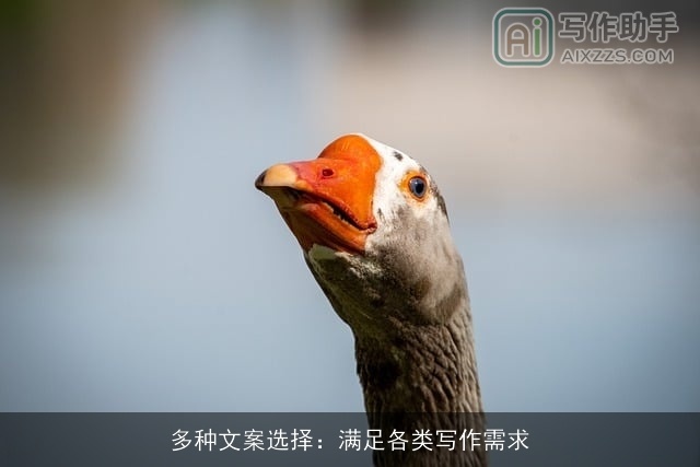 多种文案选择:满足各类写作需求 多种文案选择:满足各类写作需求