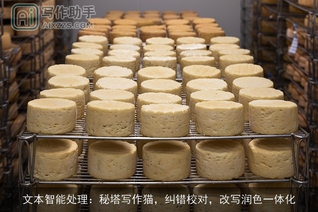 文本智能处理:秘塔写作猫,纠错校对,改写润色一体化 文本智能处理:秘塔写作猫,纠错校对,改写润色一体化