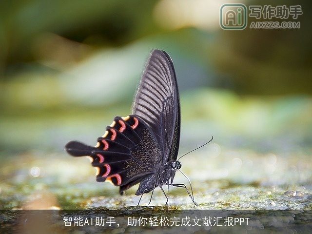 智能AI助手,助你轻松完成文献汇报PPT 智能AI助手,助你轻松完成文献汇报PPT