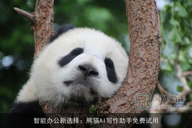 智能办公新选择:熊猫AI写作助手免费试用 智能办公新选择:熊猫AI写作助手免费试用