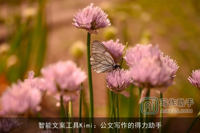 智能文案工具Kimi:公文写作的得力助手 智能文案工具Kimi:公文写作的得力助手