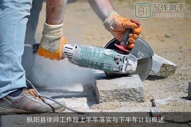 枞阳县律师工作股上半年落实与下半年计划概述 枞阳县律师工作股上半年落实与下半年计划概述