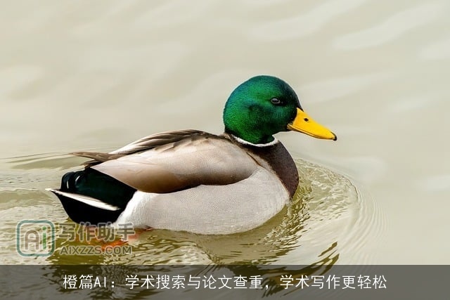 橙篇AI:学术搜索与论文查重,学术写作更轻松 橙篇AI:学术搜索与论文查重,学术写作更轻松