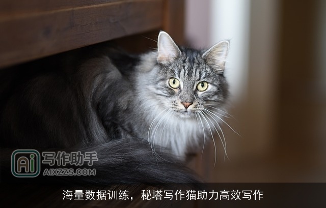 海量数据训练,秘塔写作猫助力高效写作 海量数据训练,秘塔写作猫助力高效写作