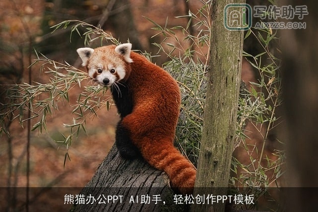 熊猫办公PPT AI助手,轻松创作PPT模板 熊猫办公PPT AI助手,轻松创作PPT模板