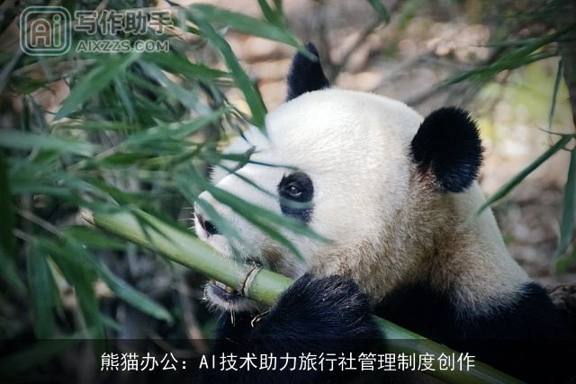 熊猫办公:AI技术助力旅行社管理制度创作 熊猫办公:AI技术助力旅行社管理制度创作