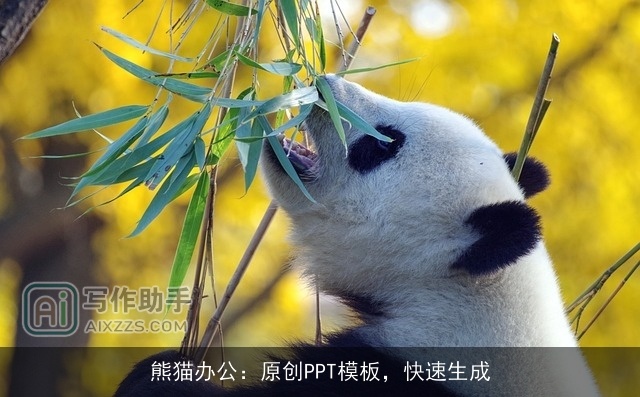 熊猫办公:原创PPT模板,快速生成 熊猫办公:原创PPT模板,快速生成